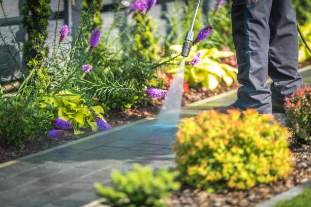 Best Animal Enclosure Cleaning  in Southern Gateway, VA